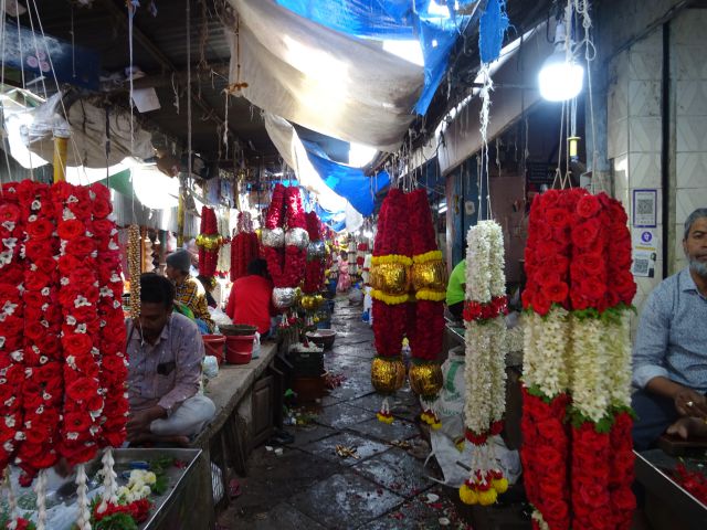 Mysore